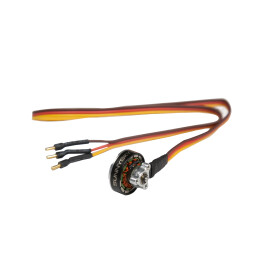 OMPHOBBY M2 V3 Sport Heckmotor