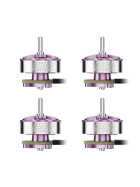 BetaFPV 0802 1S Brushless Motoren Set 2026 (AIR75 II)  Racing 25000kv